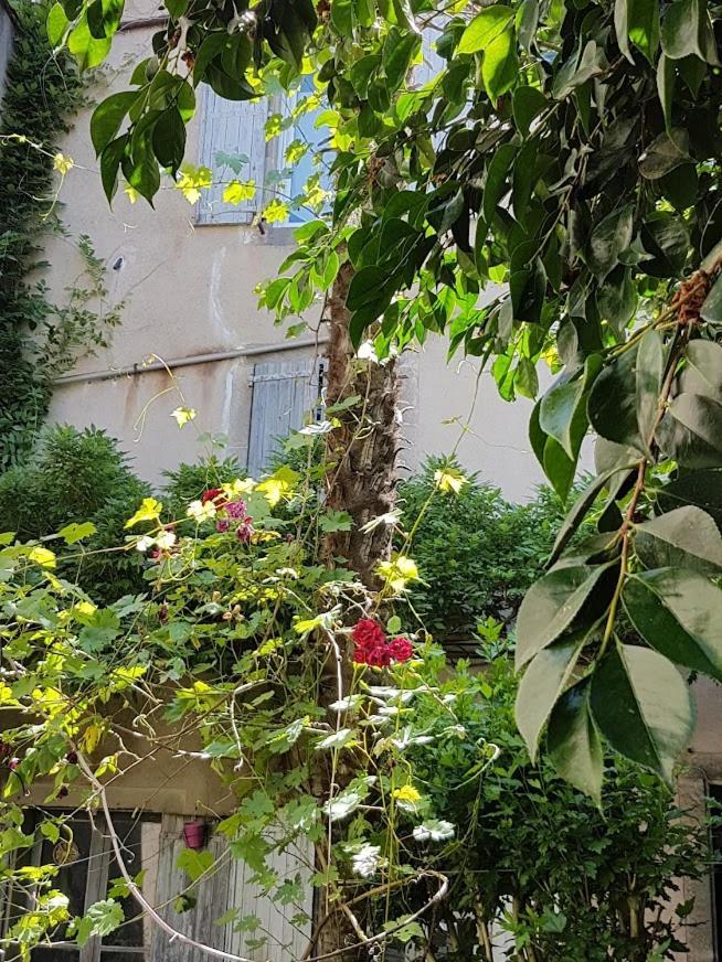 Chambre D'Hote La Passerelle Mazamet ภายนอก รูปภาพ