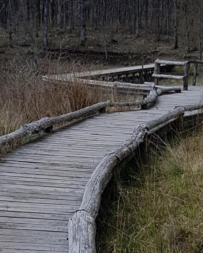 Chambre D'Hote La Passerelle Mazamet ภายนอก รูปภาพ
